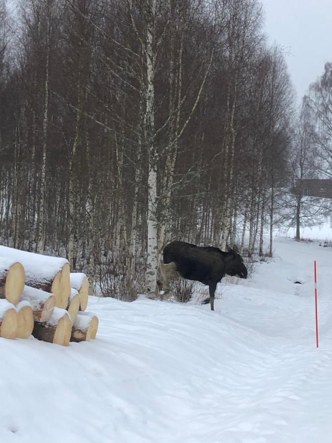 Trevlig Stuga Naera Hovfjaellet Torsby Buitenkant foto