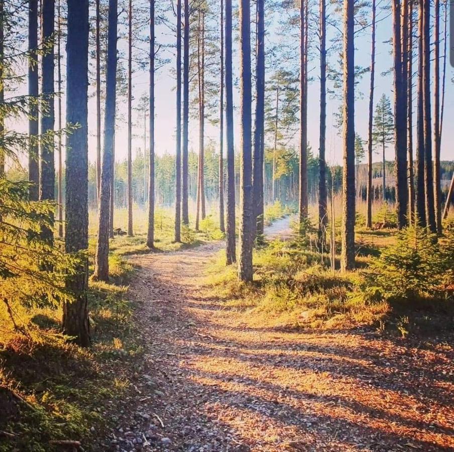 Trevlig Stuga Naera Hovfjaellet Torsby Buitenkant foto