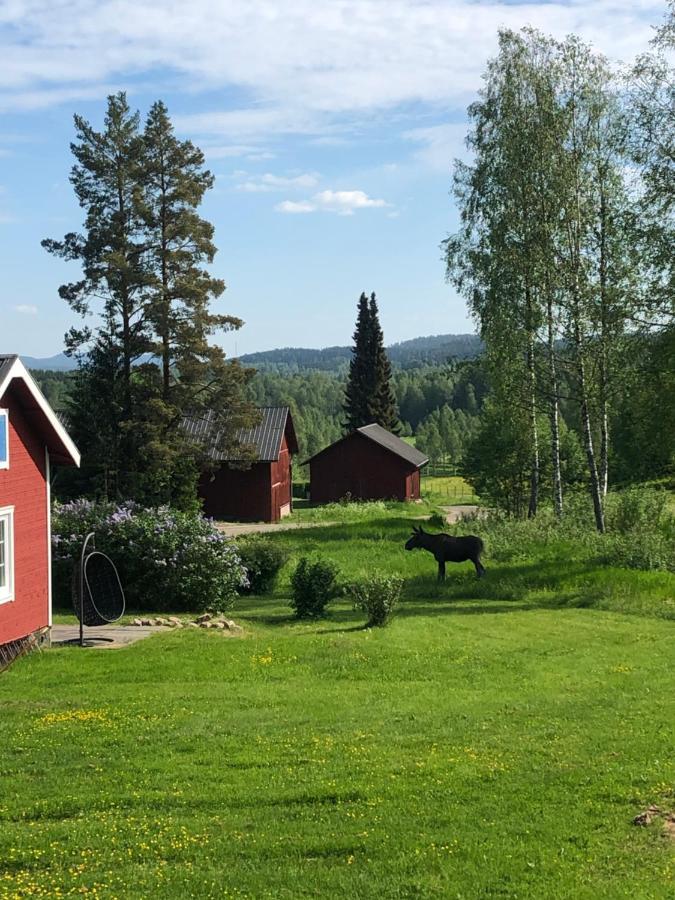 Trevlig Stuga Naera Hovfjaellet Torsby Buitenkant foto