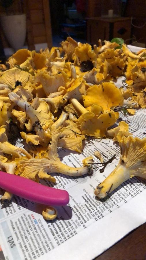 Trevlig Stuga Naera Hovfjaellet Torsby Buitenkant foto